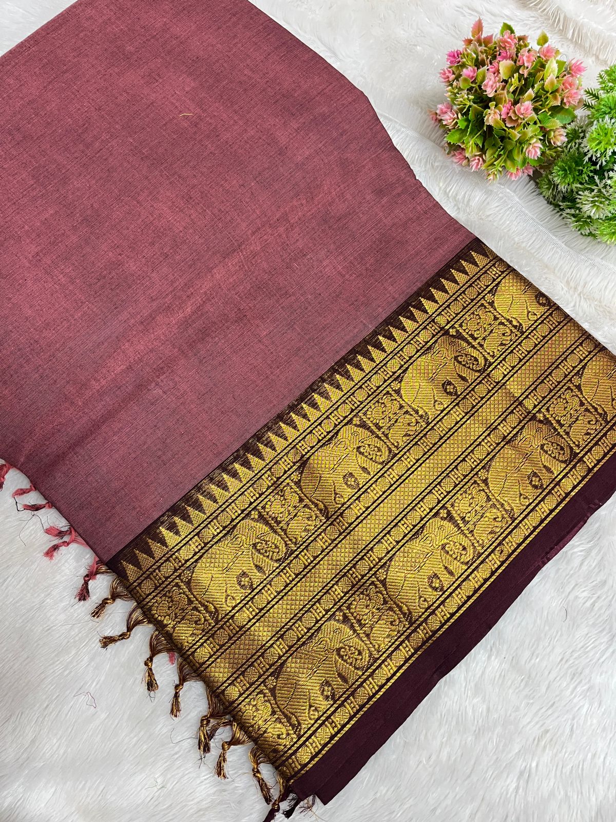 Kanchi Cotton Saree