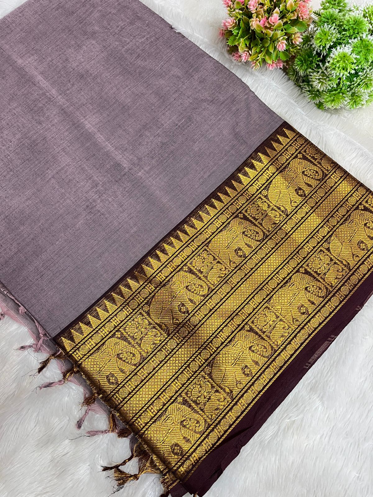 Kanchi Cotton Saree